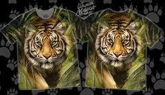 тигр, tiger, 2022